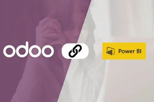 Odoo Power Bi Connector